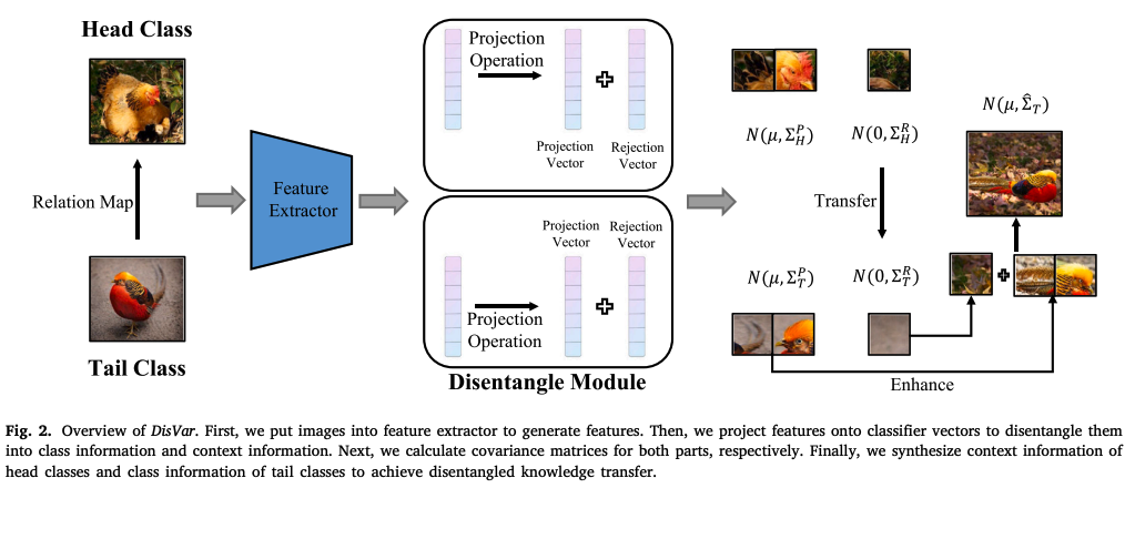 Improving long-tailed classification by disentangled variance transfer